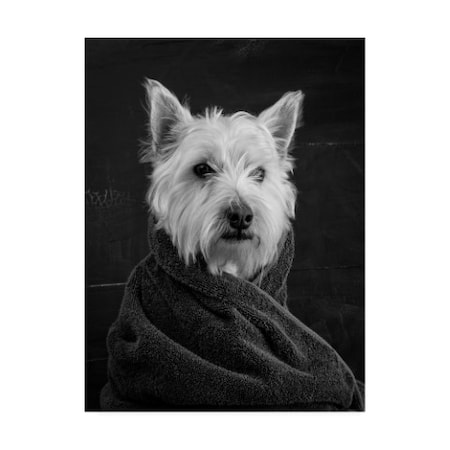 Trademark Fine Art Edward M. Fielding 'Portrait of a Westy Dog' Canvas Art, 35x47 IC00673-C3547GG